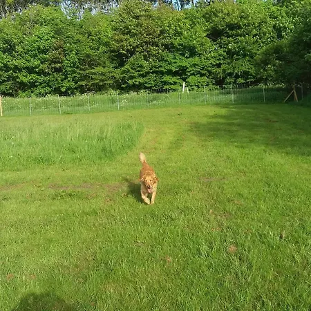 4 Person In Nibe-by Traum