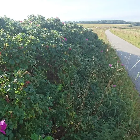 Vakantiehuis 4 Person In Nibe-by Traum *