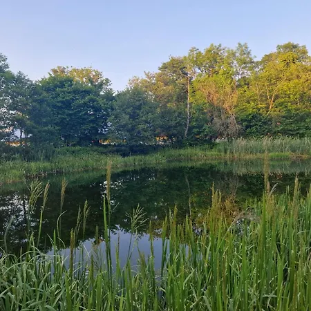 Vakantiehuis 4 Person In Nibe-by Traum Nibe